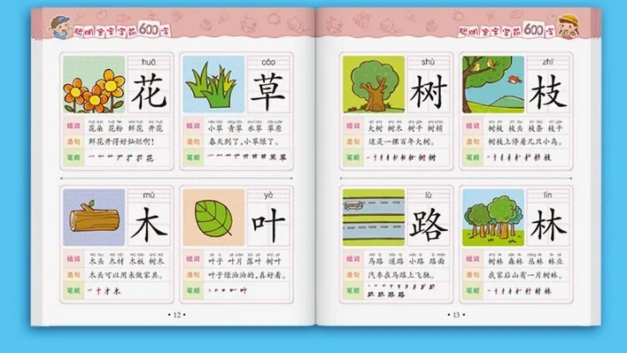 Chinese-600-characters-book-including-pin-yin-English-and-picture-for-Chinese-starter-learners-Chinese-book