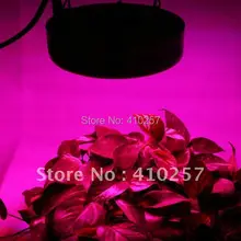 50 Вт НЛО светодиодный садоводческий свет с 25*3 Вт для вегетарирования и течения, Прямая поставка