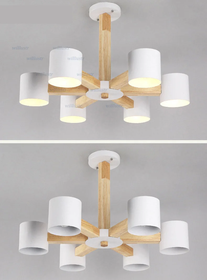 ceiling light (4)