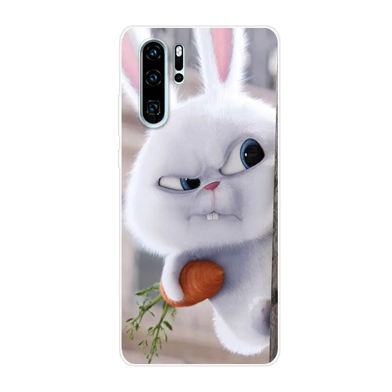 Huawei P30 Pro Case For Huawei P30Pro Case Silicone TPU Back Cover Phone Case On Huawei P30 Pro VOG-L29 ELE-L29 P 30 Lite Case Huawei P30 Pro Case For Huawei P30Pro Case Silicone TPU Back Cover Phone Case On Huawei P30 Pro VOG-L29 ELE-L29 P 30 Lite Case