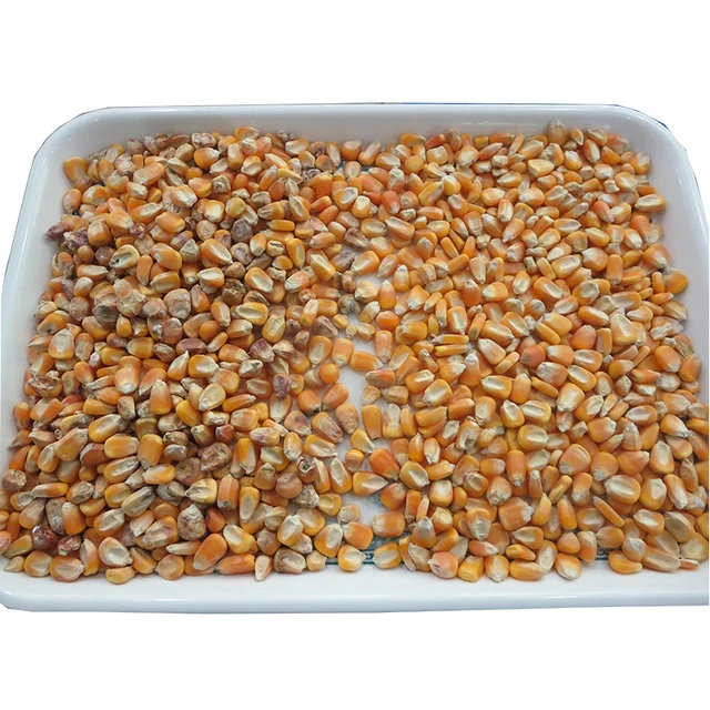 Corn Machine Farm Corn Skin Removal Machine Maize Seed Removing Machine For Sheller Food Processors Aliexpress