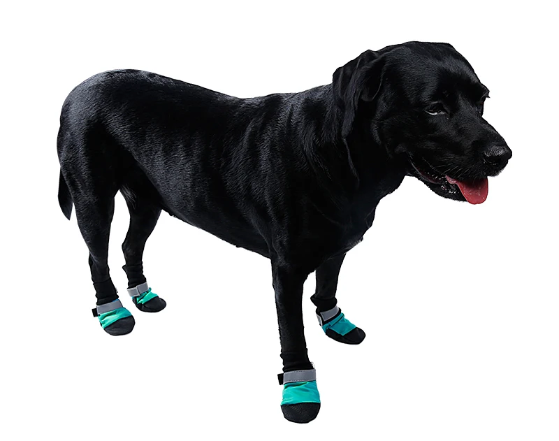 4 pçs set Não-deslizamento Sapatos Cão de
