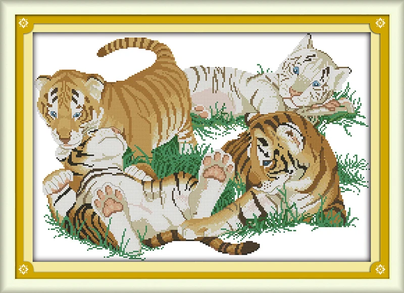 DA095-36095  243×165