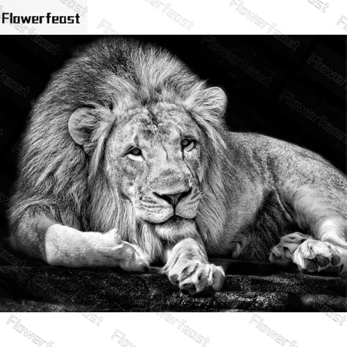 

5D DIY animal diamond painting lion full drill diamond embroidery wall painting mosaic crystal handmade picture of rhinestones