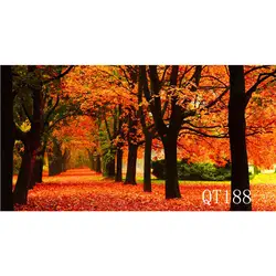 Фунтов полиэстер и виниловые фонов для фотостудии фон реквизит для фотосессии осень красного дерева путь опавшие листья природа