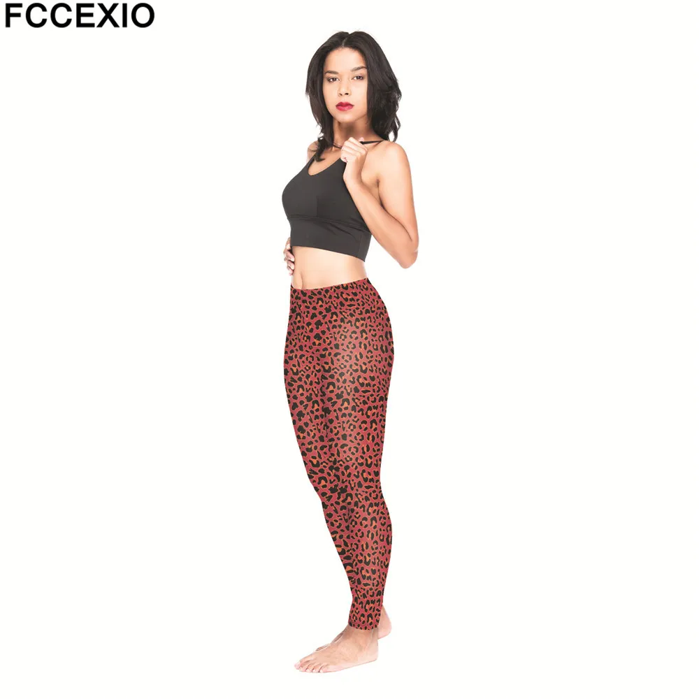 54674 red leo (6)