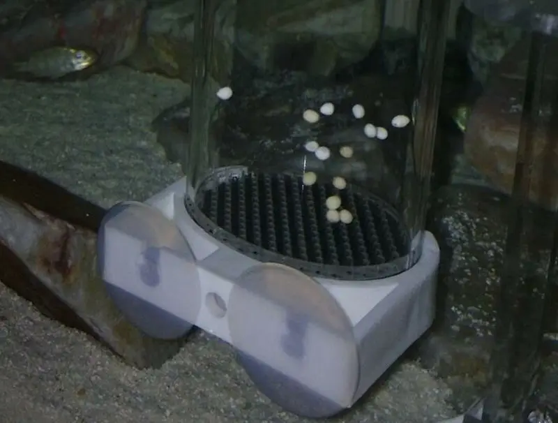 Aquarium Fish Egg Cichlid Egg Tumblers Hatcher Incubator Breeding eggs