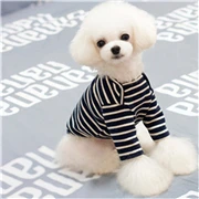 boy dog clothes_180
