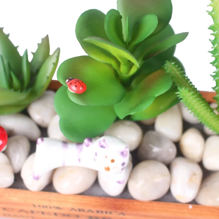 rtificial fleshiness Cactus plant Succulent plants cactus bonsai local landscape decorative flower for box decoration (7)
