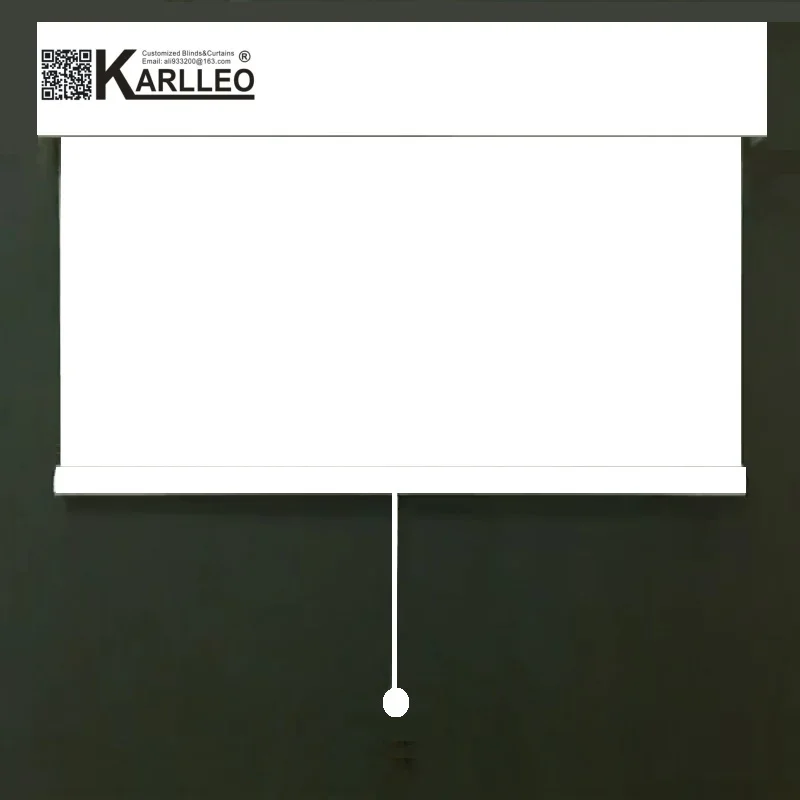 

KARLLEO Cordless Roller Blinds Sunscreen 70% Blackout Roller Blinds Free-Stop Customized Size