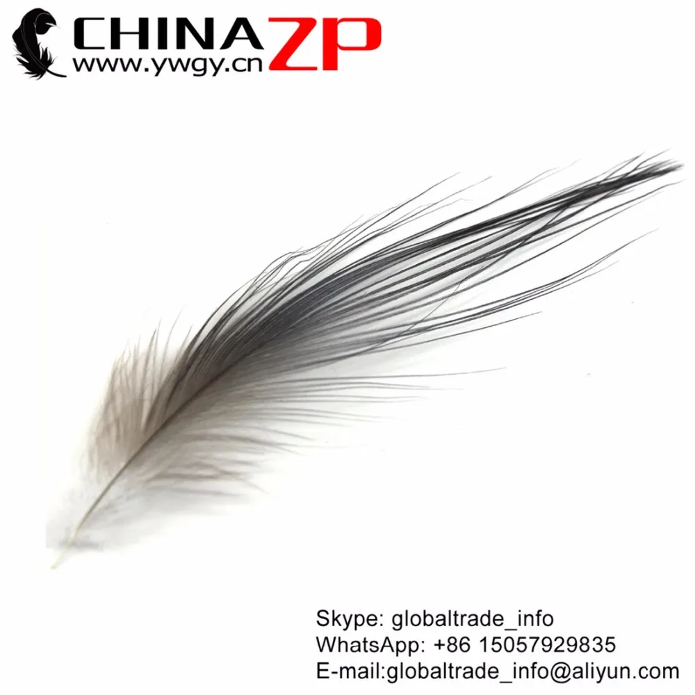Heron Egret Feather (1)