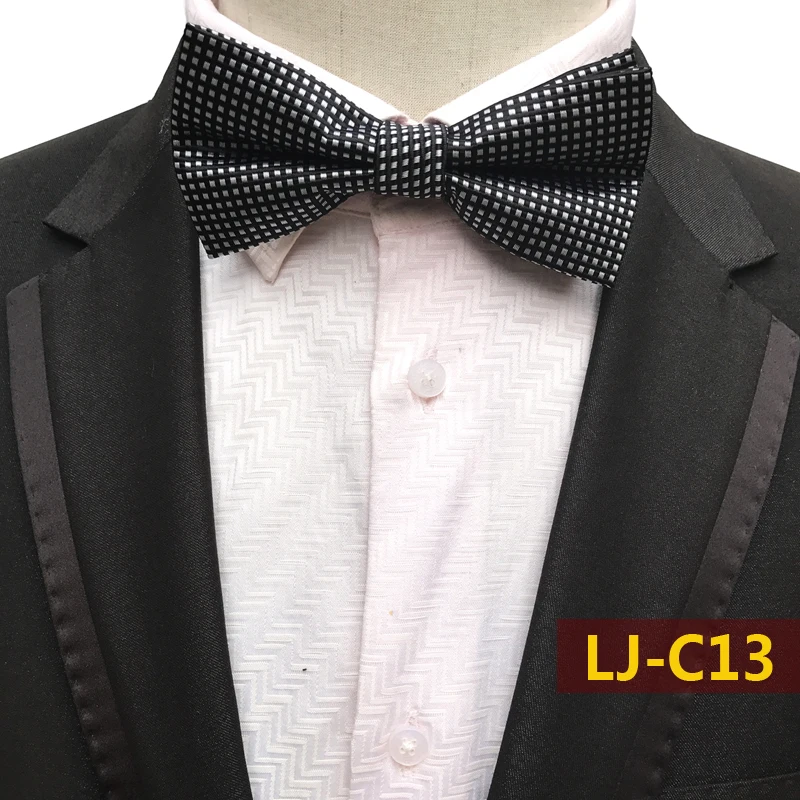 LJ-C13