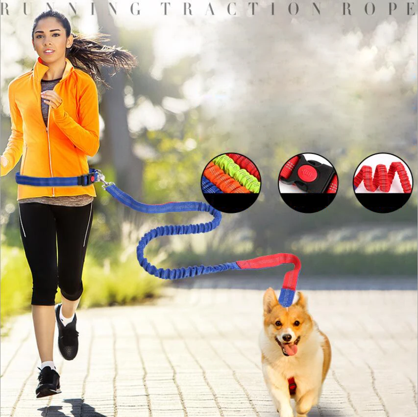 Elastic waist dog leashpet accessoriesleash petwaist dog leash