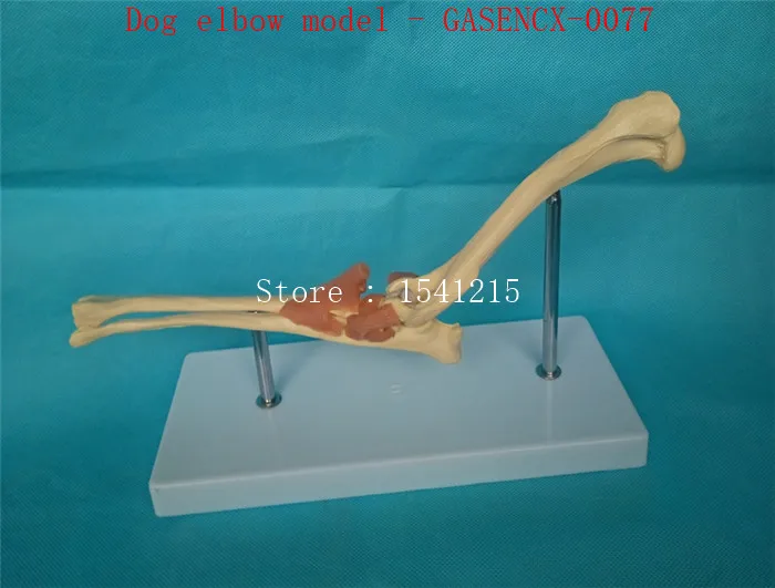 GASENCX-0077-3