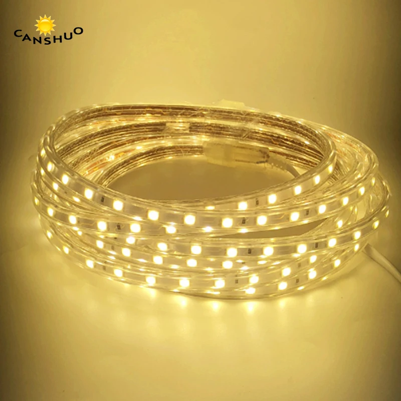 

AC 220V SMD 5050 Flexible Led Strip Light 1m to 25m+Power Plug 60leds/m IP67 Waterproof led Ribbon For in/outdoor decor lighting