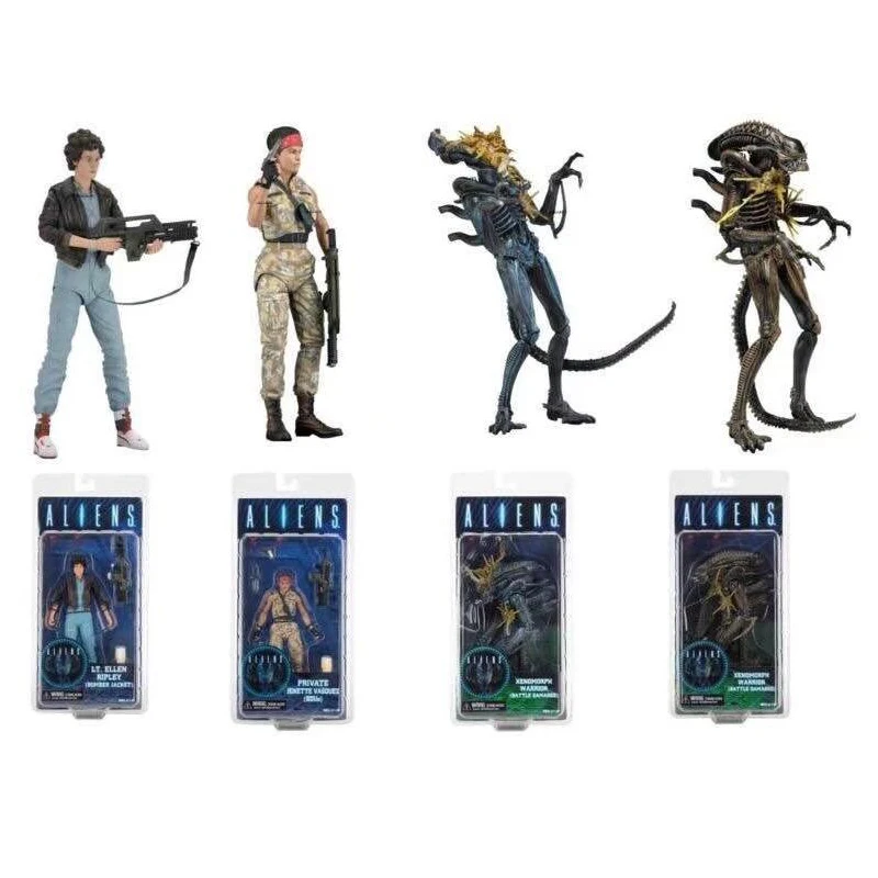 h1 (1)