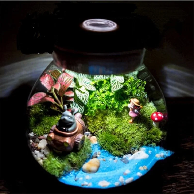 

Multi-function LED Light Moss Ecological Bottle Micro Landscape Jar Can Bring Light Plant Ecological Bottle Wedding Decoration