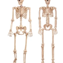 Moquerry, человеческие скелеты, Череп, полное тело, Хэллоуин, скелет, аксессуары для тела, лучшие, для дома, вечерние, Хэллоуин, украшение
