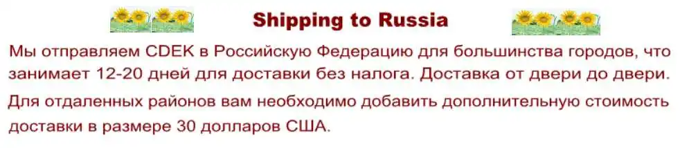 Shipping to Russia_conew1