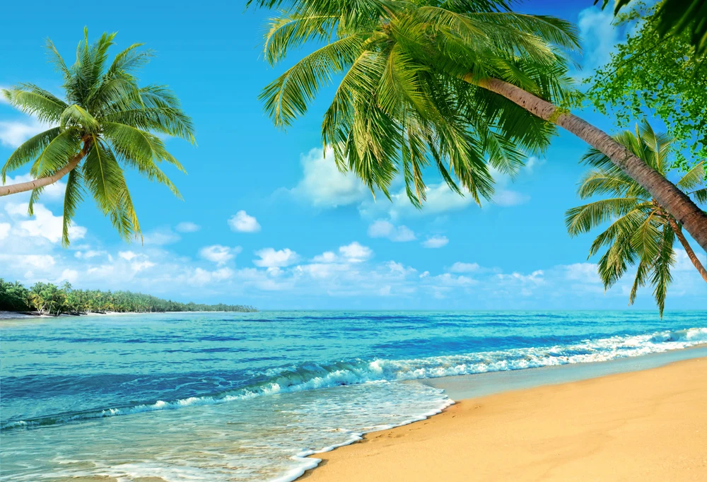 

Blue Sky Photo Backdrop Background Baby Photography Children Hawaii Beach Summer Surf Party Photo Booth XT-6610