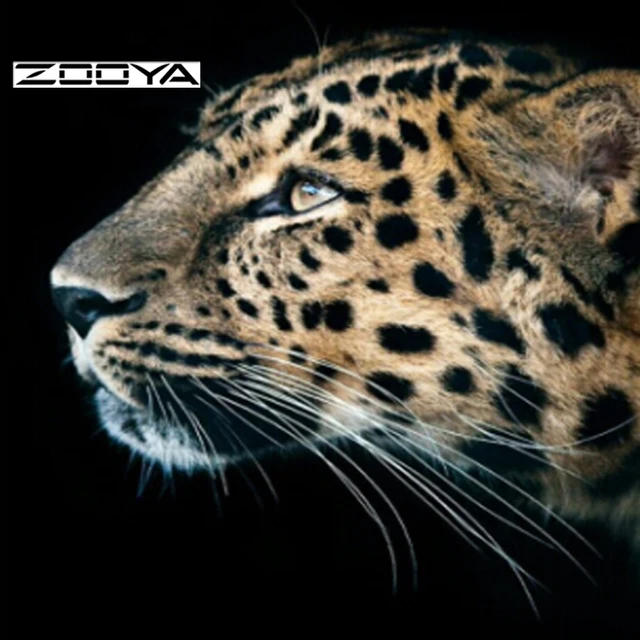 Download 64 Gambar Hewan Leopard Paling Baru Gratis
