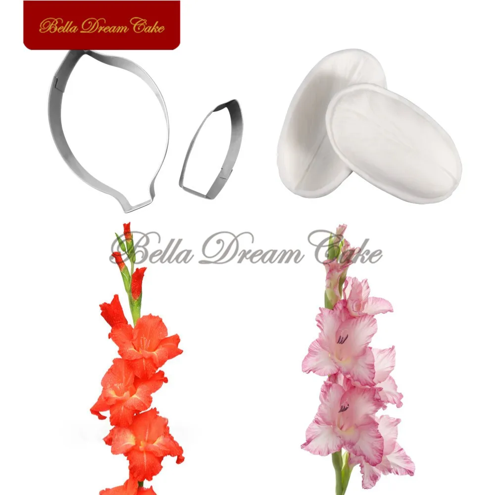 Gladiolus-5