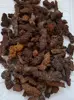 WHOLESALE PRICE! 2.2LB LARGE COPROLITE zed Dinosaur Poop Specimen 5