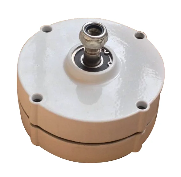 

Low RPM AC12V/24V 200W Permanent Magnet Alternator for Wind Turbine Generator Price of PMG