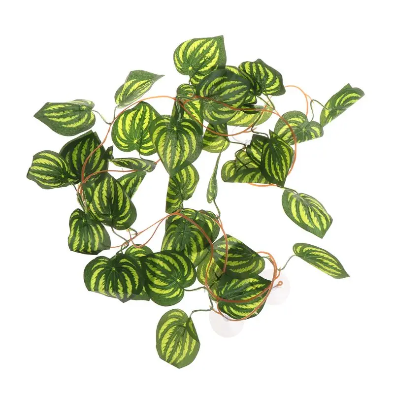 2SS201286-5