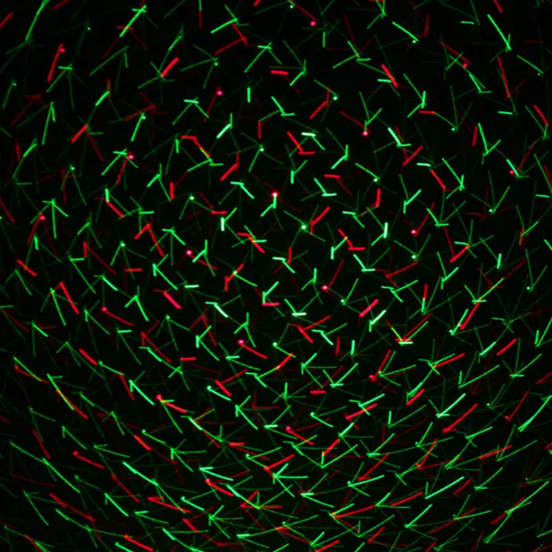 

Mini LED Laser Pointer Disco Stage Light Party Pattern Lighting Projector Show IR Remote RG Laser Projector Lights disco light