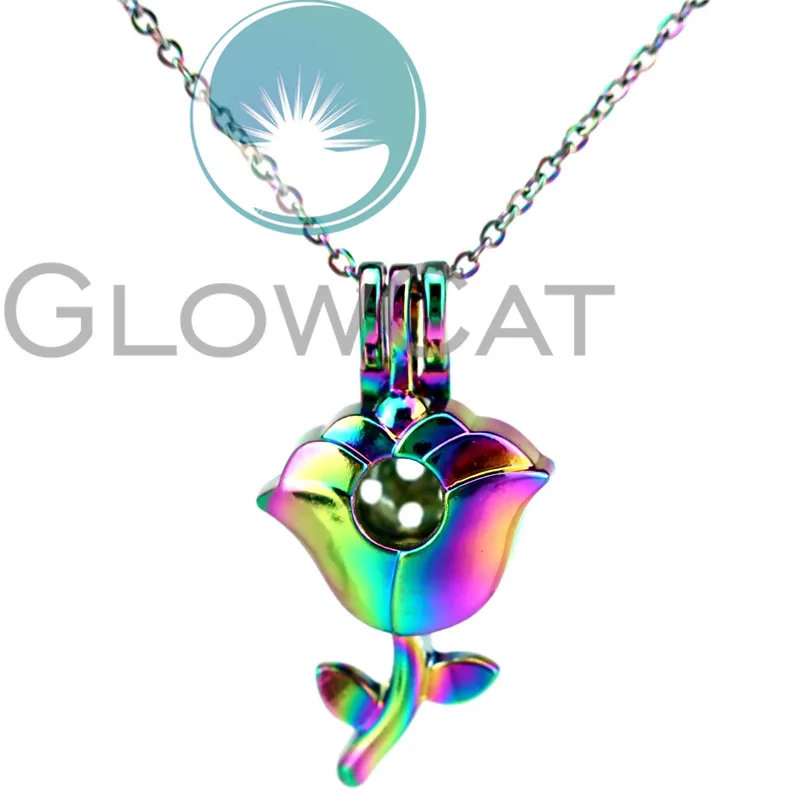 

CC847 Lovers' Rainbow Colors Rose Flower Beads Cage Pendant Aromatherapy Essential Oil Diffuser Pearl Cage Locket Necklace