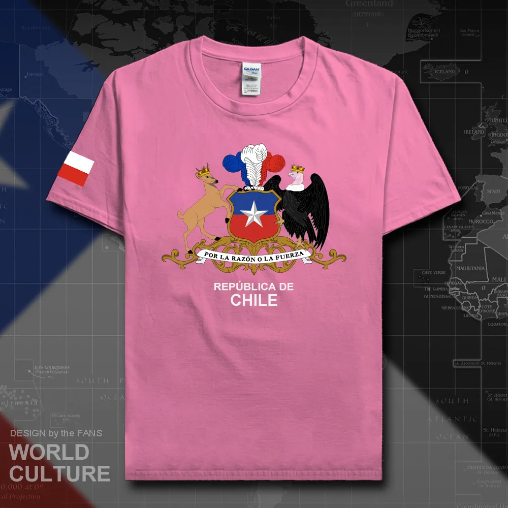 HNAT_Chile20_T01azalea