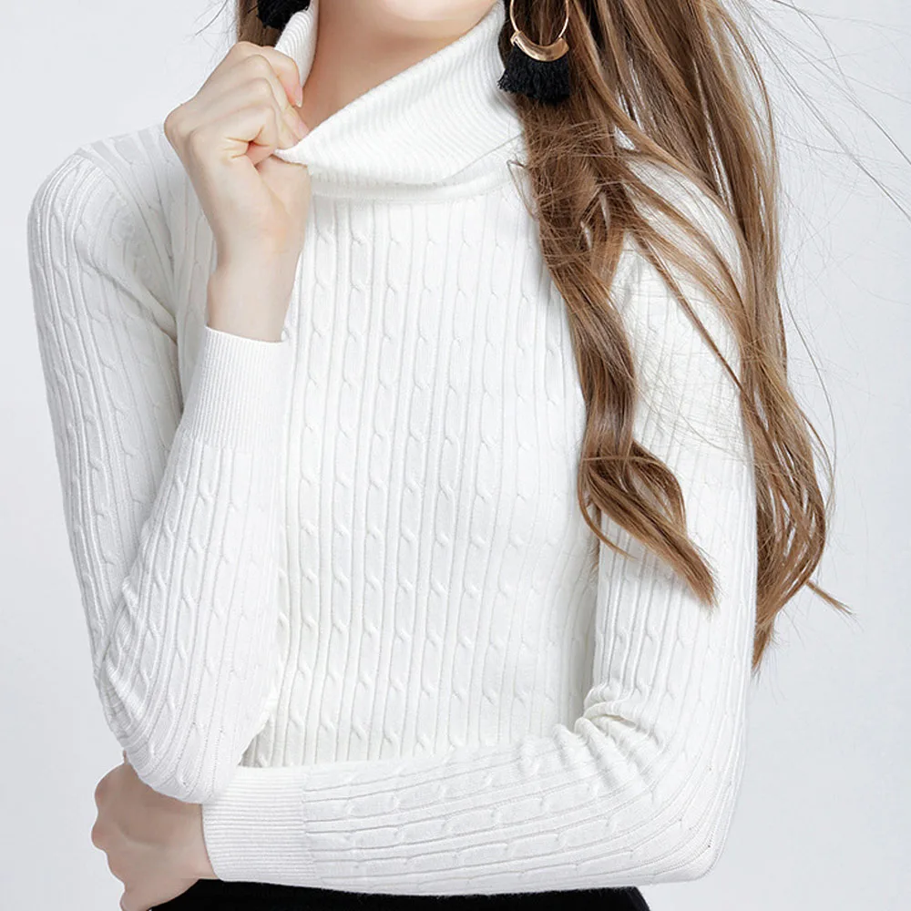 2018 Winter Warm Women Sweaters and Pullovers high Elastic Thick Turtleneck Sweater Autumn Knitted Twisted Sweater Women Jumper 2018 Winter Warm Women Sweaters and Pullovers high Elastic Thick Turtleneck Sweater Autumn Knitted Twisted Sweater Women Jumper