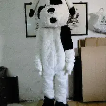 Пекинский бар белая собака талисман костюмы красивый наряд