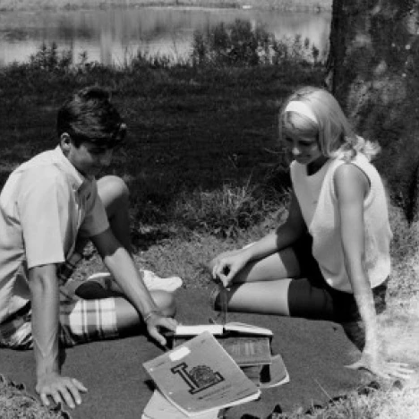 Teenage couple studying under tree Poster Print (24 x 36)