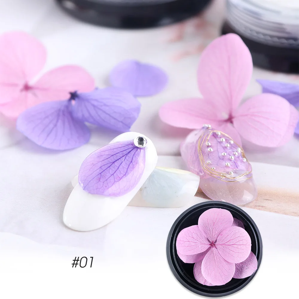 dried flowers C01