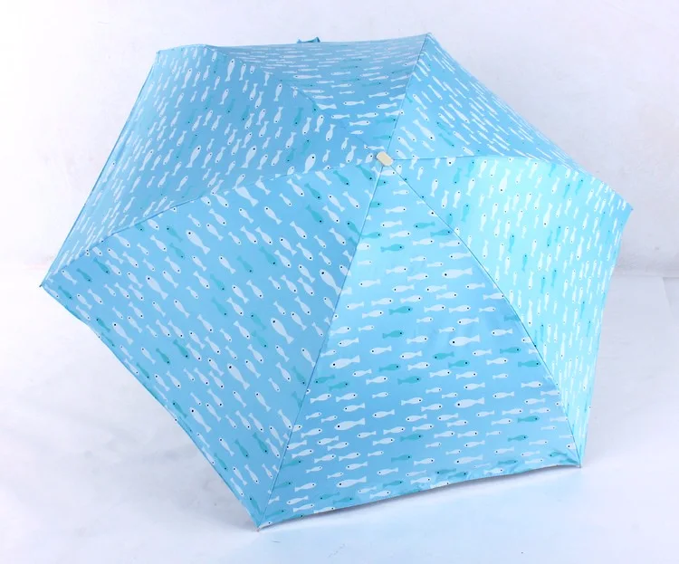 3594307856_1656007700