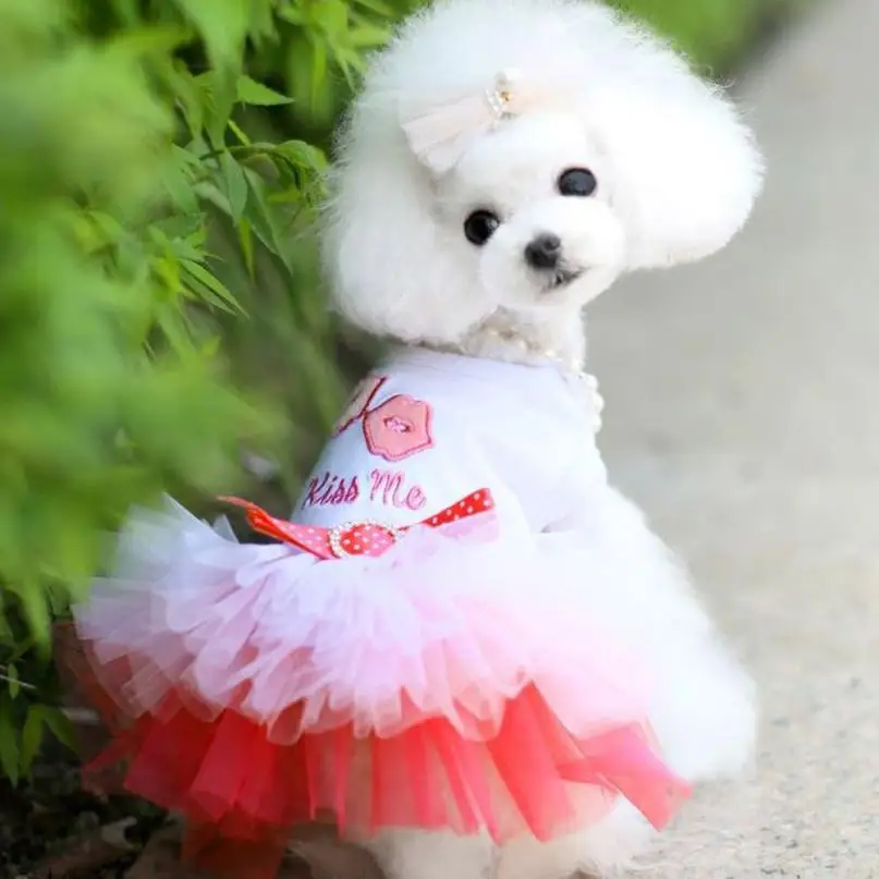 MUQGEW Одежда для собак для маленьких собак платье Весна Лето Щенок маленькая собака кружево принцесса Чихуахуа собака Mascotas одежда для домашних животных Cachorro
