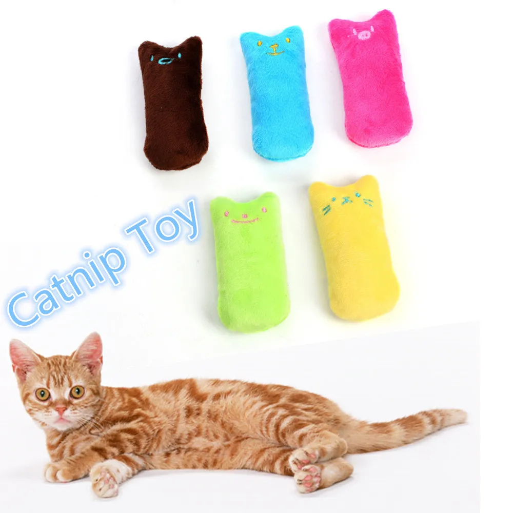 cat_