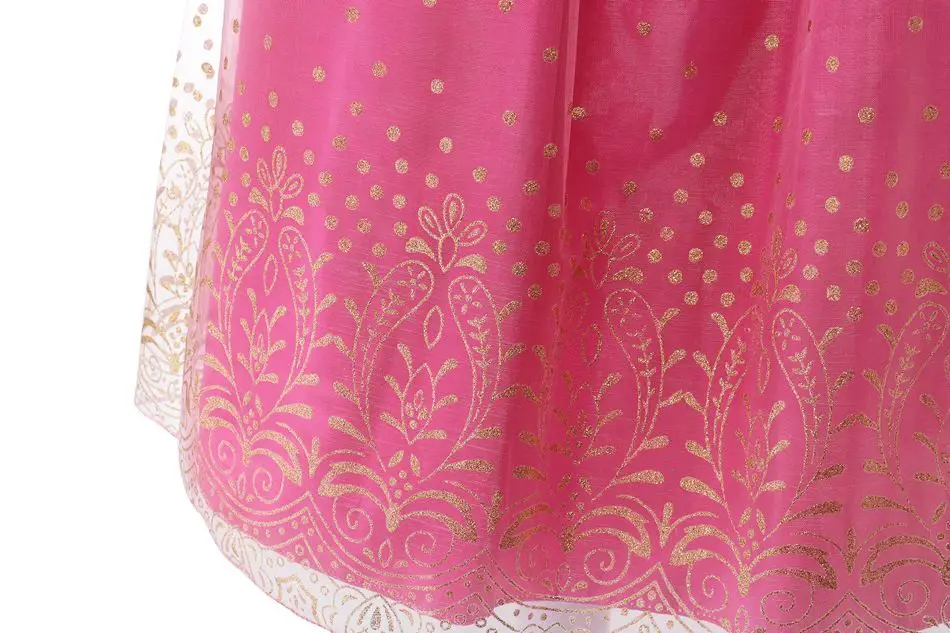 Little Girls Sleeping Beauty Cosplay Costume (7)