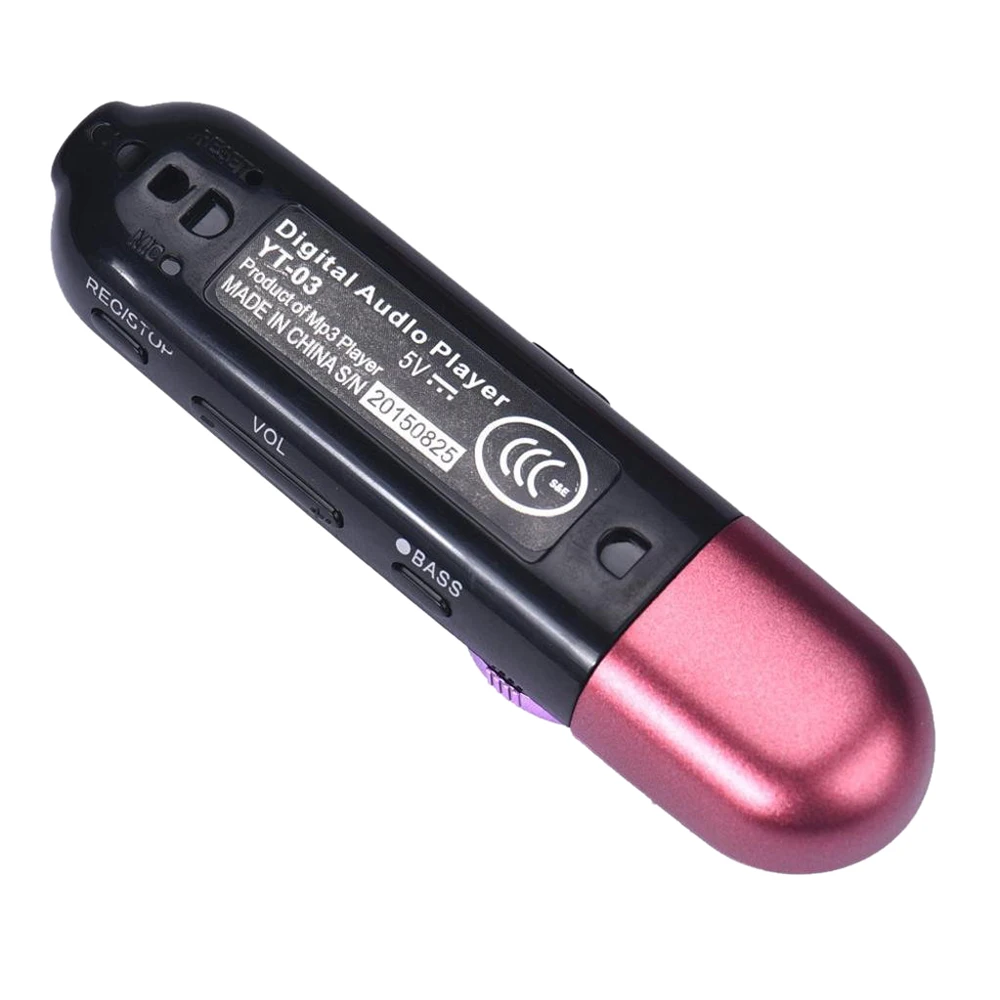 HOT LCD USB карта MP3 плеер 16 GB Lcd Usb экран радио музыка FM ТВ флэш (розовый/синий)|MP3-плееры|