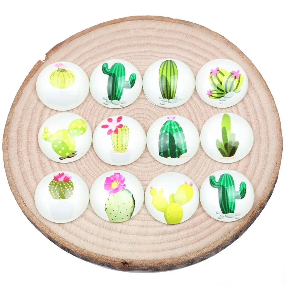 Cactus Pattern Round Photo Glass Cabochon 12 20mm Cameo Flatback Jewelry Setting Cactus Pattern Round Photo Glass Cabochon 12 20mm Cameo Flatback Jewelry Setting