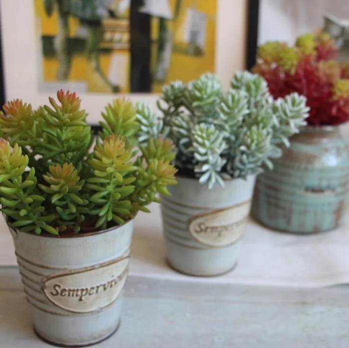 Echeveria искусственное суккулентное растение ветвь цветка на день рождения