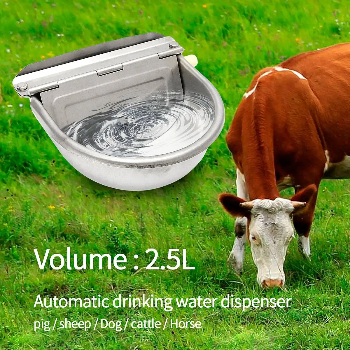 

Stainless Steel Cattle Drinking Bowl Horse Ox Pig Lamb Floating Ball Drinking Bowl Automatic Water Fountain Breeding Drinking