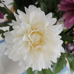 Классический dahlia искусственный цветок из шелка цветочное украшение цветок богатства и честь в 5 шт упаковке - Цвет: white