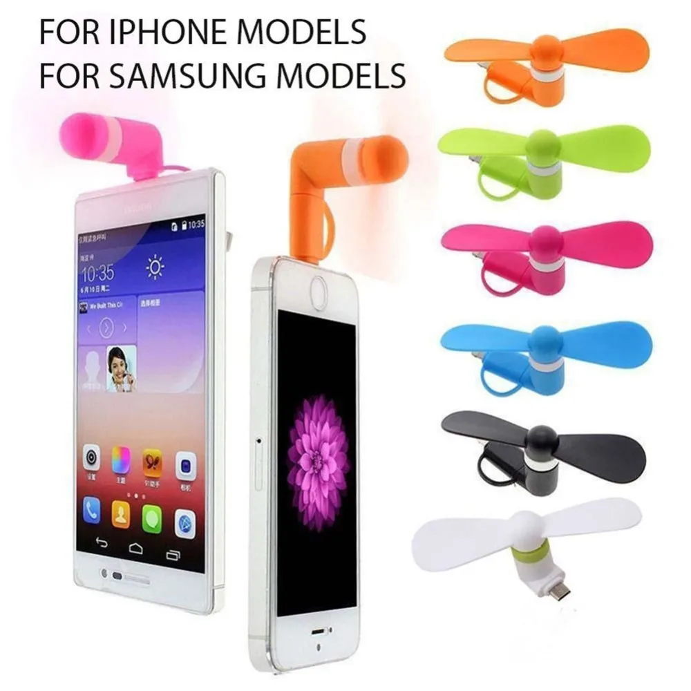 244269_no-logo_244269-1-04