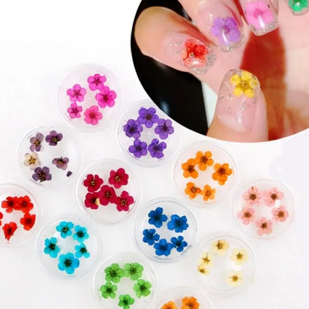 

12 Colors Starry Dried Flower Nail Art Stickers DIY Accessories Decor Manicure