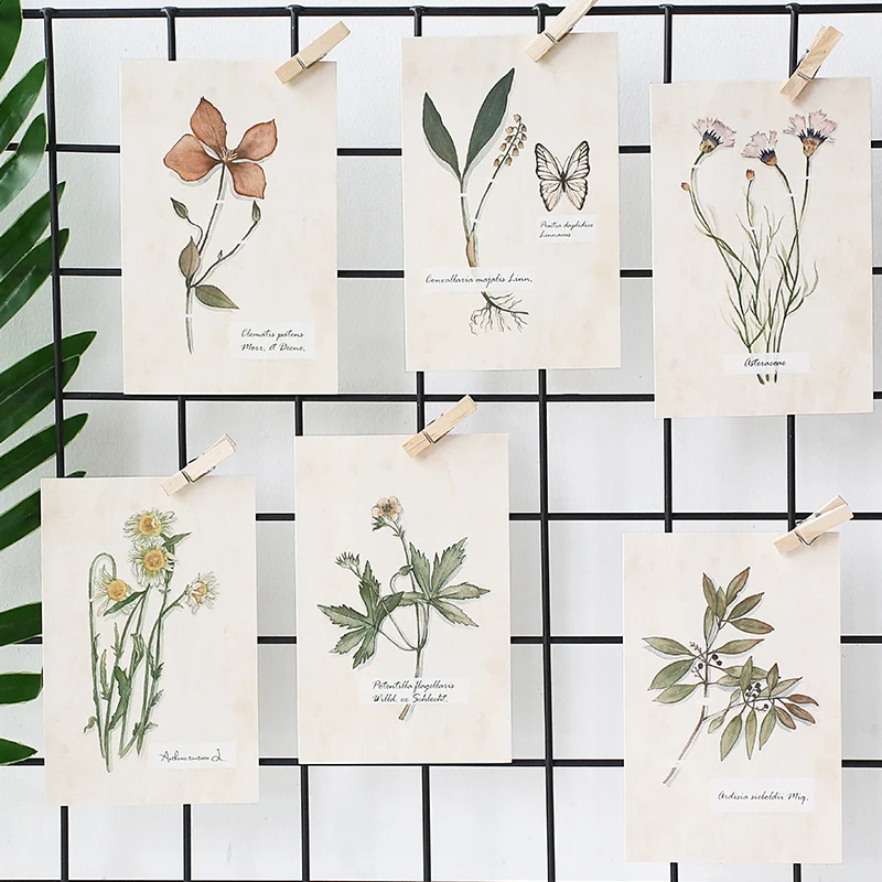 

30pcs/pack Flower plants sample swatch postcard greeting card new year birthday card letter envelope gift card message cards