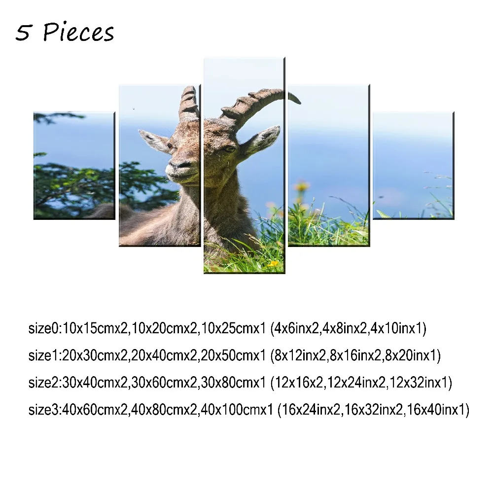 05P-30x40 