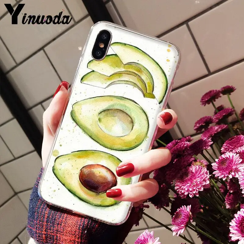 Avocado